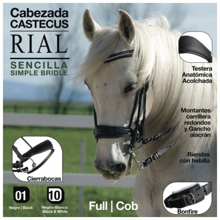 Cabezada Simple "RIAL" de CASTECUS