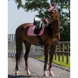 Protectores delanteros de QHP
