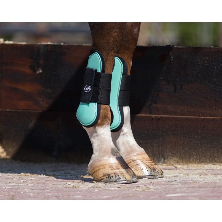 Protectores delanteros QHP