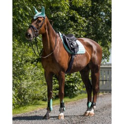 Protectores delanteros de QHP