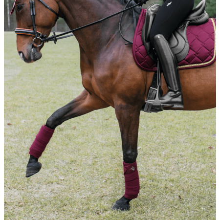 Conjunto de Mantilla Azuryt + Vendas de FairPlay