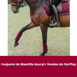 Conjunto de Mantilla Azuryt...