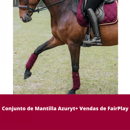 Conjunto de Mantilla Azuryt + Vendas de FairPlay