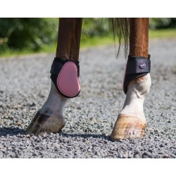 Protectores traseros de QHP