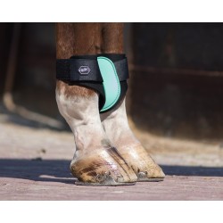 Protectores traseros de QHP