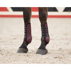 Protectores de Tendón "CHAMPION" de QHP