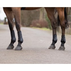 Protectores de Menudillo "CHAMPION" de QHP