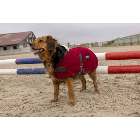 Manta Polar para Perro "TEDDY" de DIEGO & LOUNA