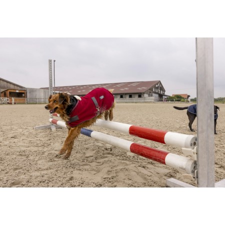 Manta Polar para Perro "TEDDY" de DIEGO & LOUNA