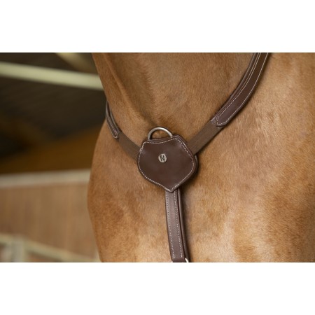 Pechopetral "Confort" de Norton Pro