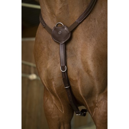 Pechopetral "Confort" de Norton Pro