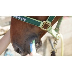Jeringa Nutrilyte Flash de Ravene 2