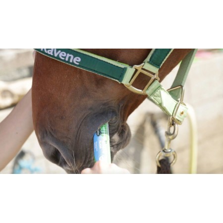 Jeringa Nutrilyte Flash de Ravene
