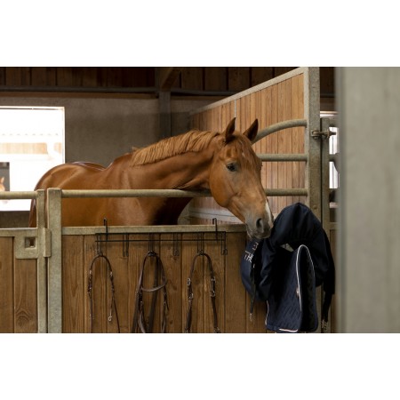 Portabrida 6 Plazas con Ganchos de HippoTonic