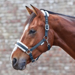 Cabezada de cuadra "ELEGANT" de WALDHAUSEN 2