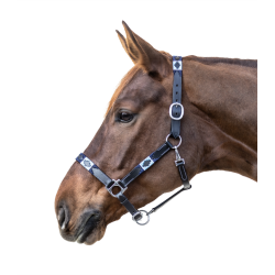 Cabezada de Cuero "Polo" de Waldhausen 2