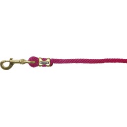 Ramal con hebillas satinado dorado de EQUITHÈME