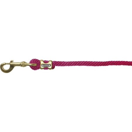 Ramal con hebillas satinado dorado de EQUITHÈME