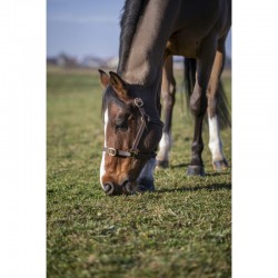 Sistema Thiedeman o Howlett Norton Pro 2