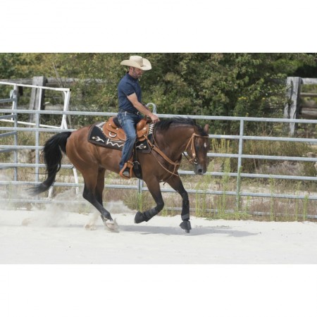 Silla Westride de Franck Perret "Aurora" de Ekkia