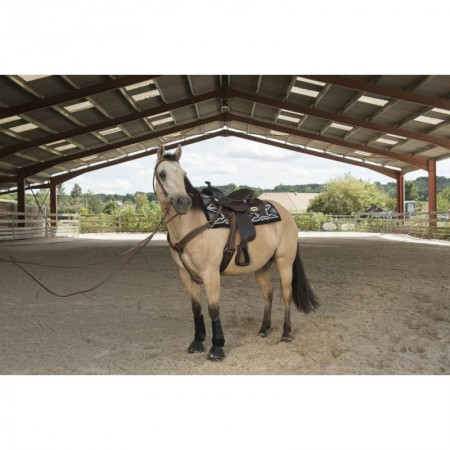 Silla Westride de Franck Perret "Arvada" de Ekkia