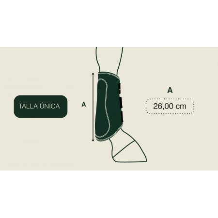Protectores Delanteros ROYAL de Gatusos
