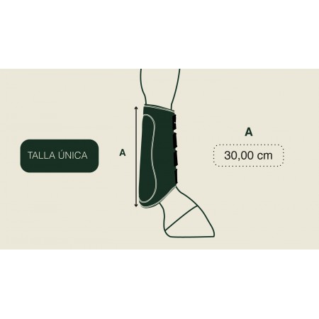 Protectores Traseros ROYAL de Gatusos