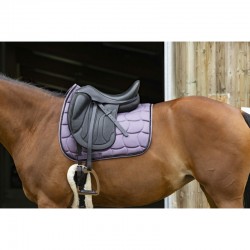 Mantilla Satin de Equithème para Caballo 2