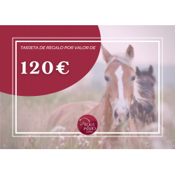Tarjeta de Regalo de Equitación 120€ 2