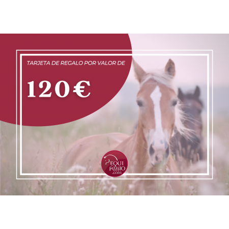 Tarjeta de Regalo de Equitación 120€