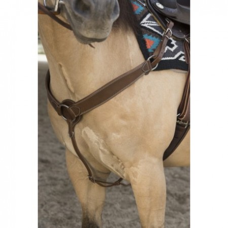 Pechopetral Westride "Billy" de Franck Perret de Ekkia