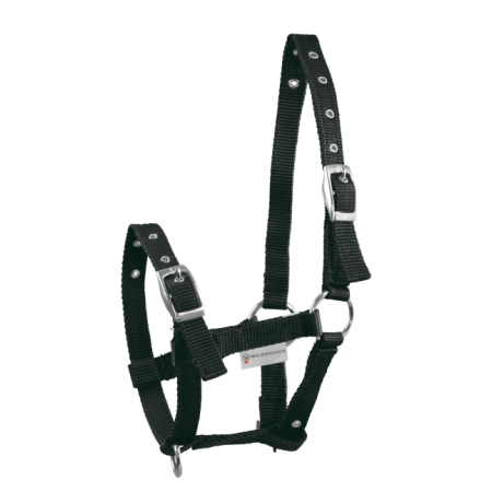 Cabezada de Cuadra Triple para Potro de Waldhausen