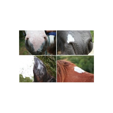 Natjely, vaselina vegetal 100% natural para la piel del caballo