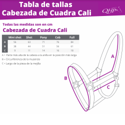 Cabezada de Cuadra "CALI" de Q-ESSENTIALS
