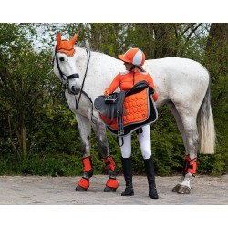 Protectores delanteros técnicos para completo de QHP