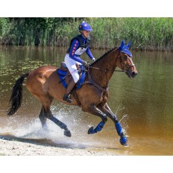 Protectores delanteros técnicos para completo de QHP