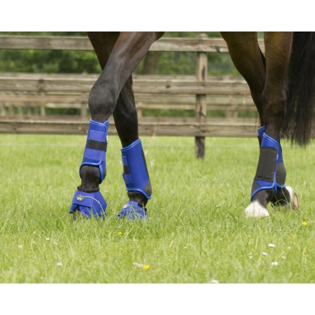 Comprar Protectores traseros de Cross  Q-CROSS de QHP