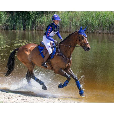 Comprar Protectores traseros de Cross  Q-CROSS de QHP