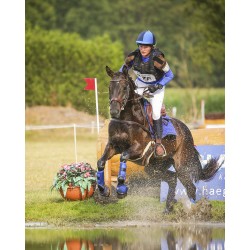 Protectores traseros técnicos para completo de QHP