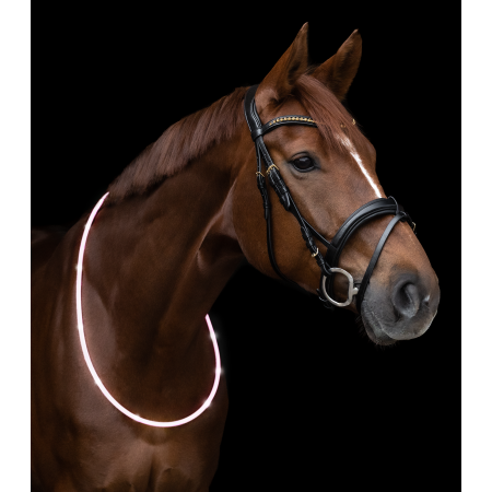 Collar para Paseo Led de Waldhausen