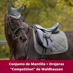 Conjunto de Mantilla +...
