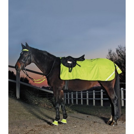 Riñonera impermeable back on track® sammy. Tienda para comprar Riñonera  impermeable back on track® sammy