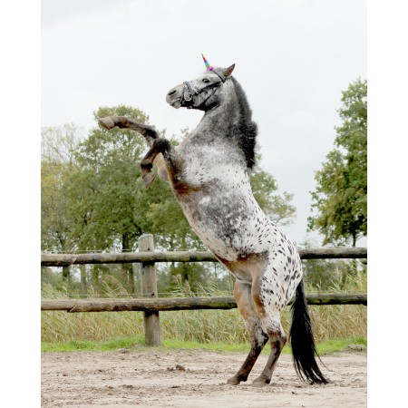 Cuerno de unicornio de QHP