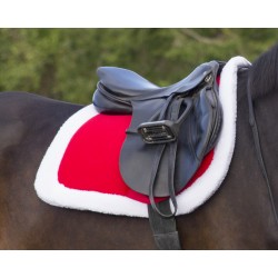 Mantilla de Navidad para Caballo de QHP 2