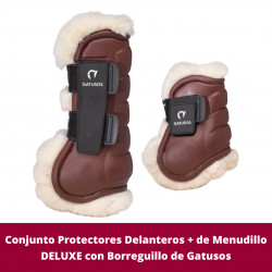 Conjunto Protectores...