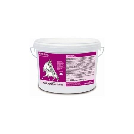 Equi 2000 Foal desarrollo del esqueleto ligamentos y tendones del potro