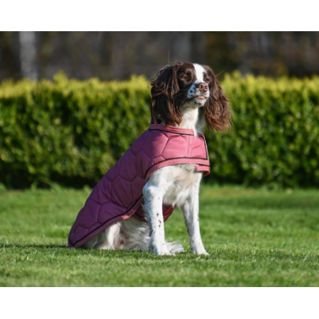 OT Manta de Perro Classy de QHP Rosa Talla 35 cm