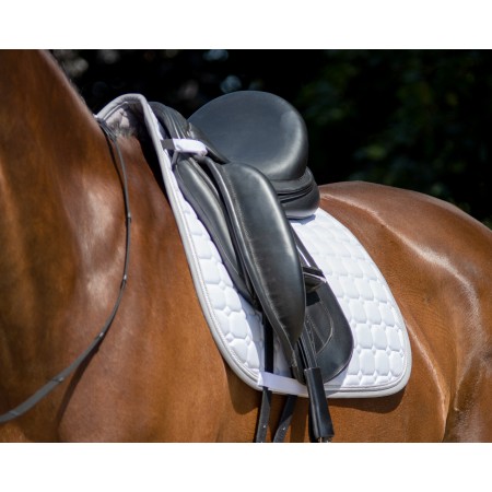 Pack de Mantilla Florence + Protectores Delanteros y Traseros de QHP