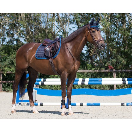 Pack de Mantilla Florence + Protectores Delanteros y Traseros de QHP