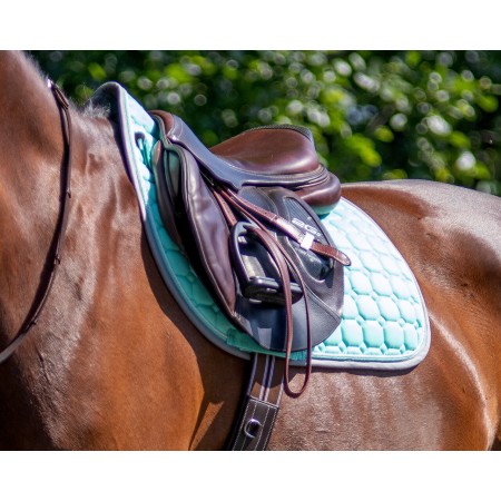 Pack de Mantilla Florence + Protectores Delanteros y Traseros de QHP